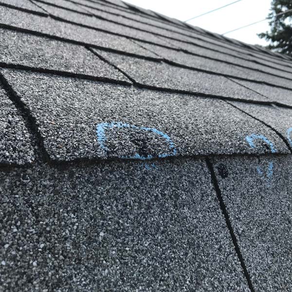 Hail Damage